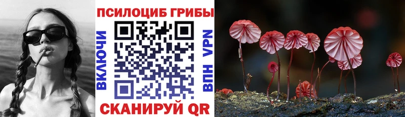 Псилоцибиновые грибы Cubensis  цены наркотик  Ермолино 